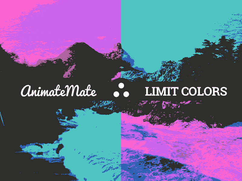 AnimateMate_Example_12_LimitGifColors